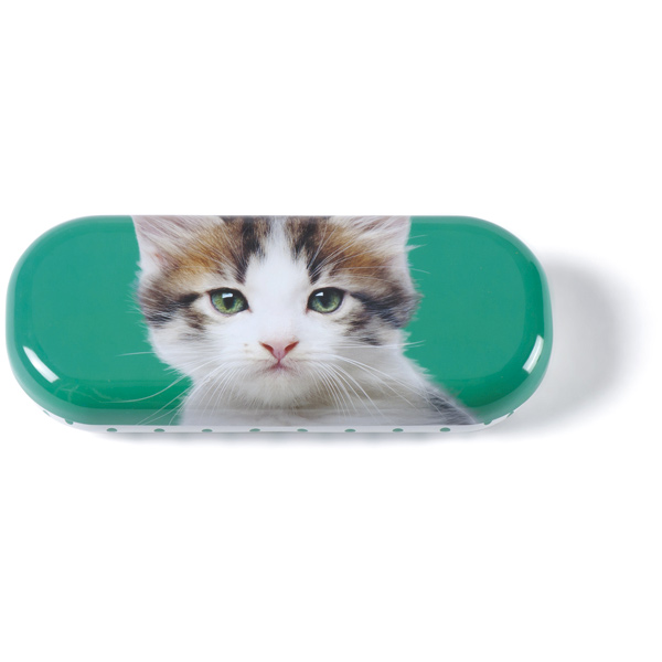 Kitten on Green Glasses Case