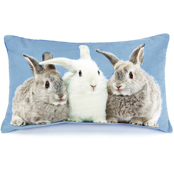 Rabbits on Blue Cushion