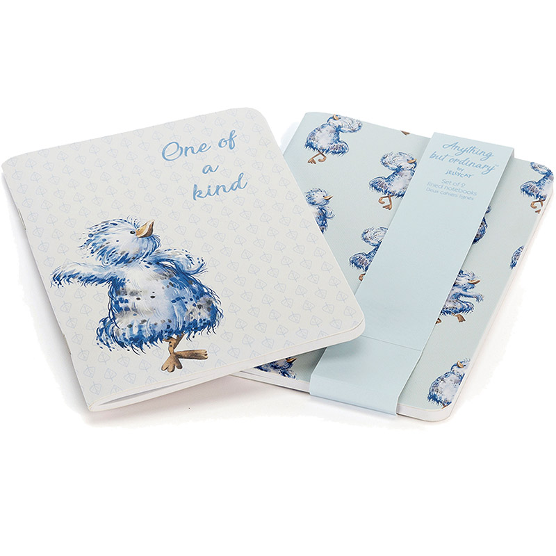 Anything but Ordinary A6 Notebook Set