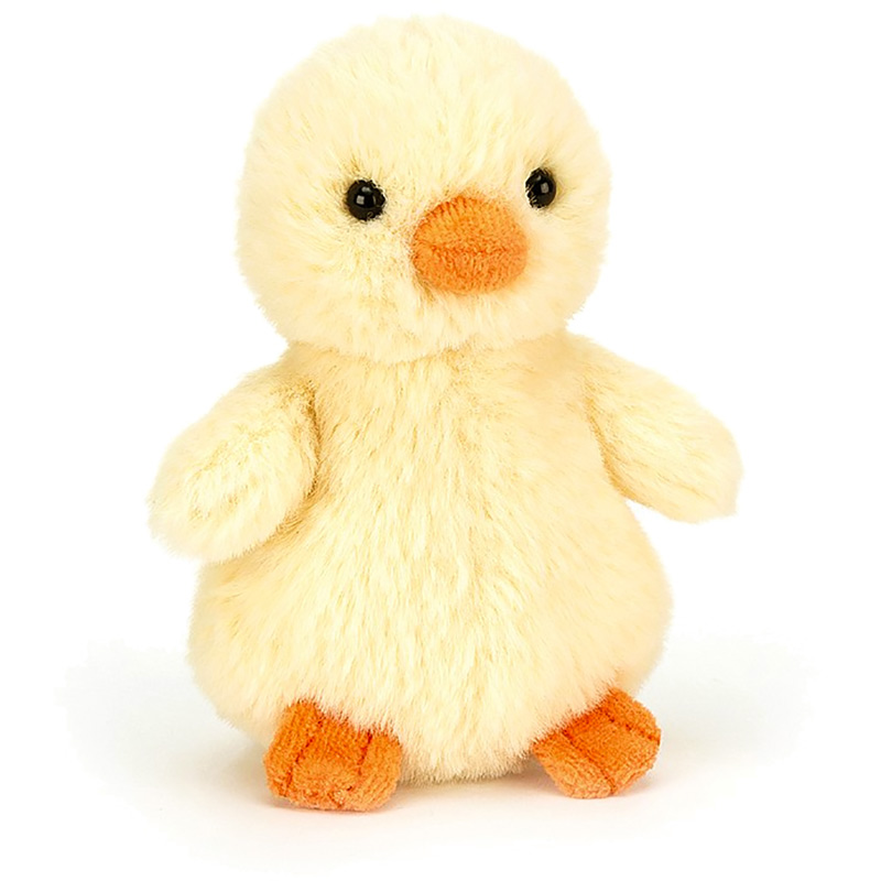 Fluffy Yellow Chick
