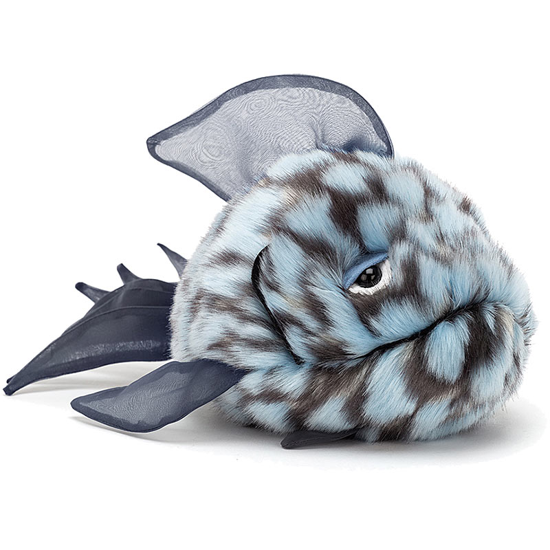 Grumpy Blue Fish