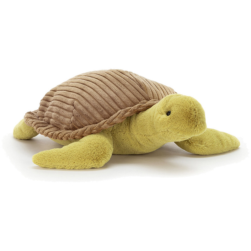 Terence Sea Turtle